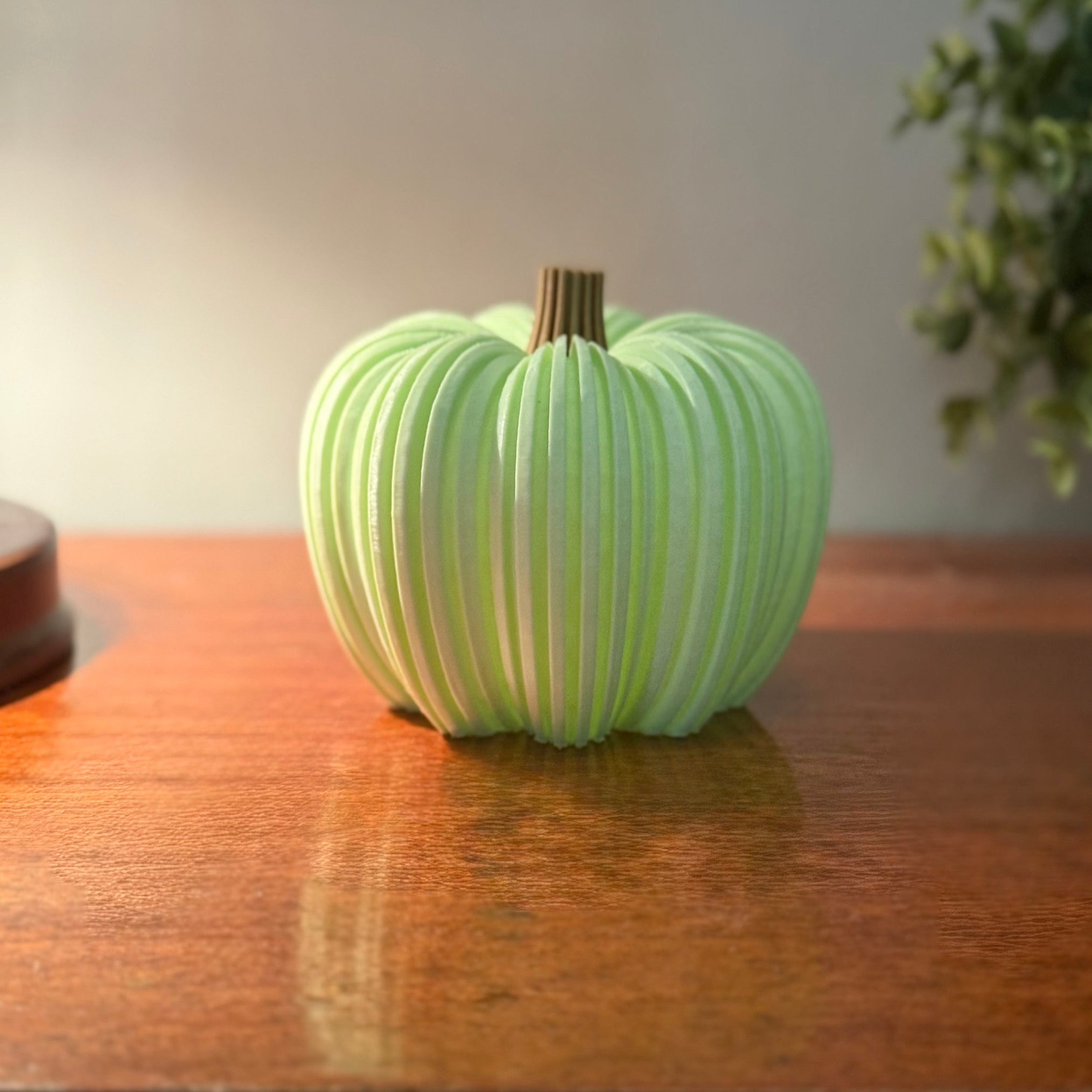 Harvest Ribbed Pumpkin