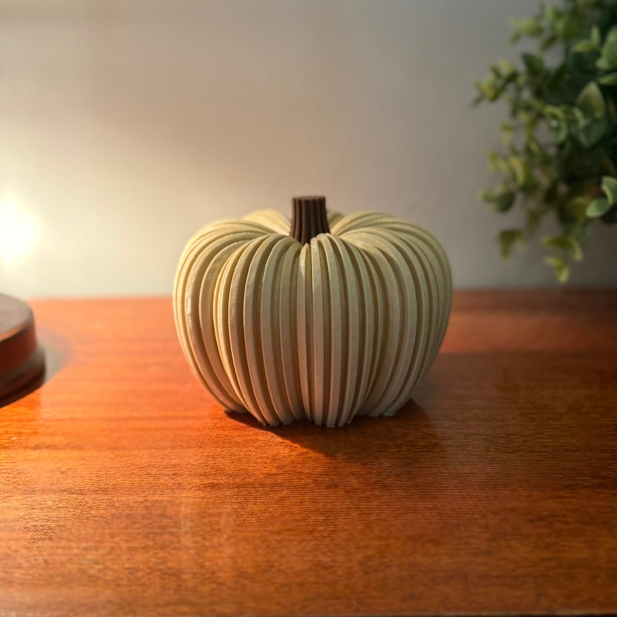 Harvest Ribbed Pumpkin