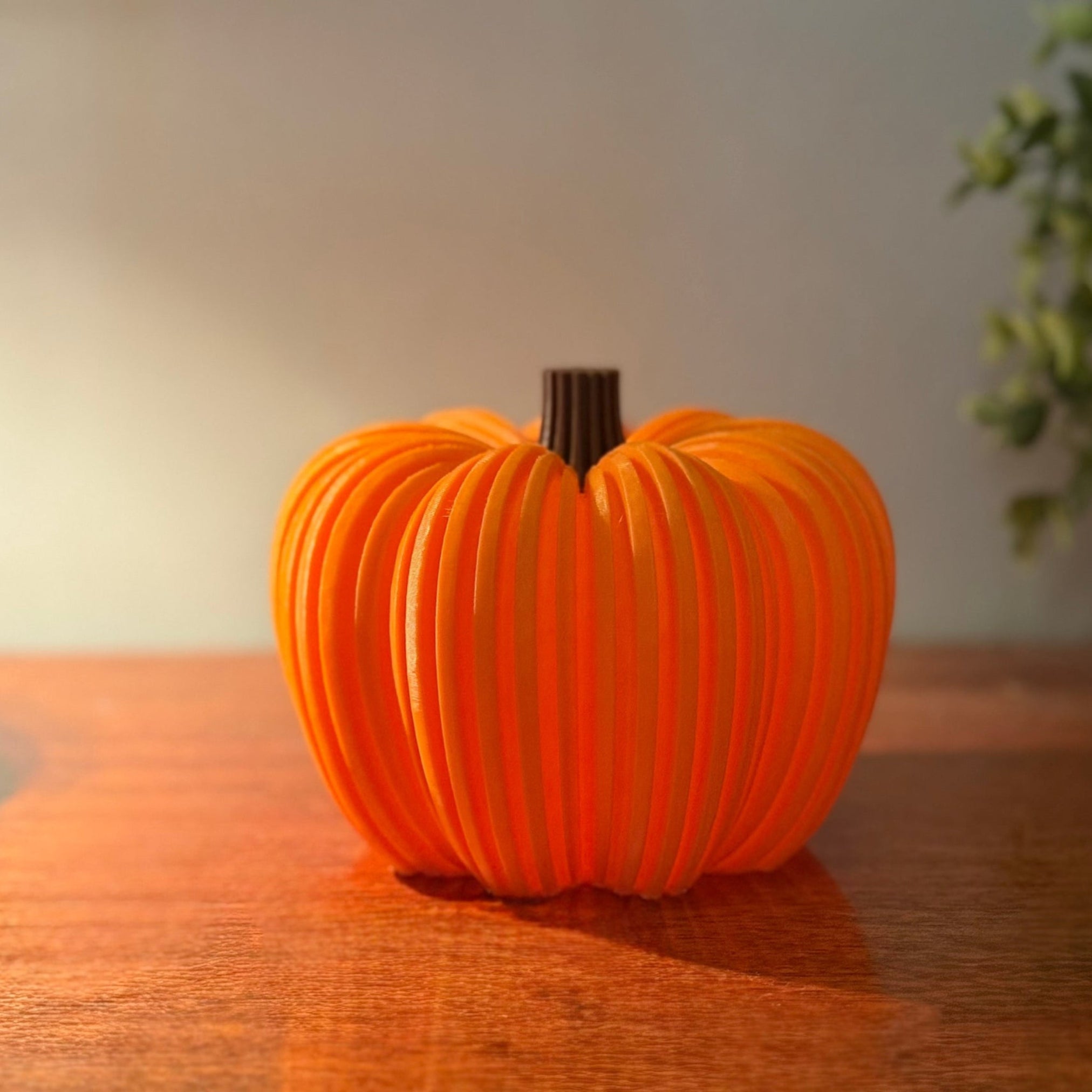 Harvest Ribbed Pumpkin
